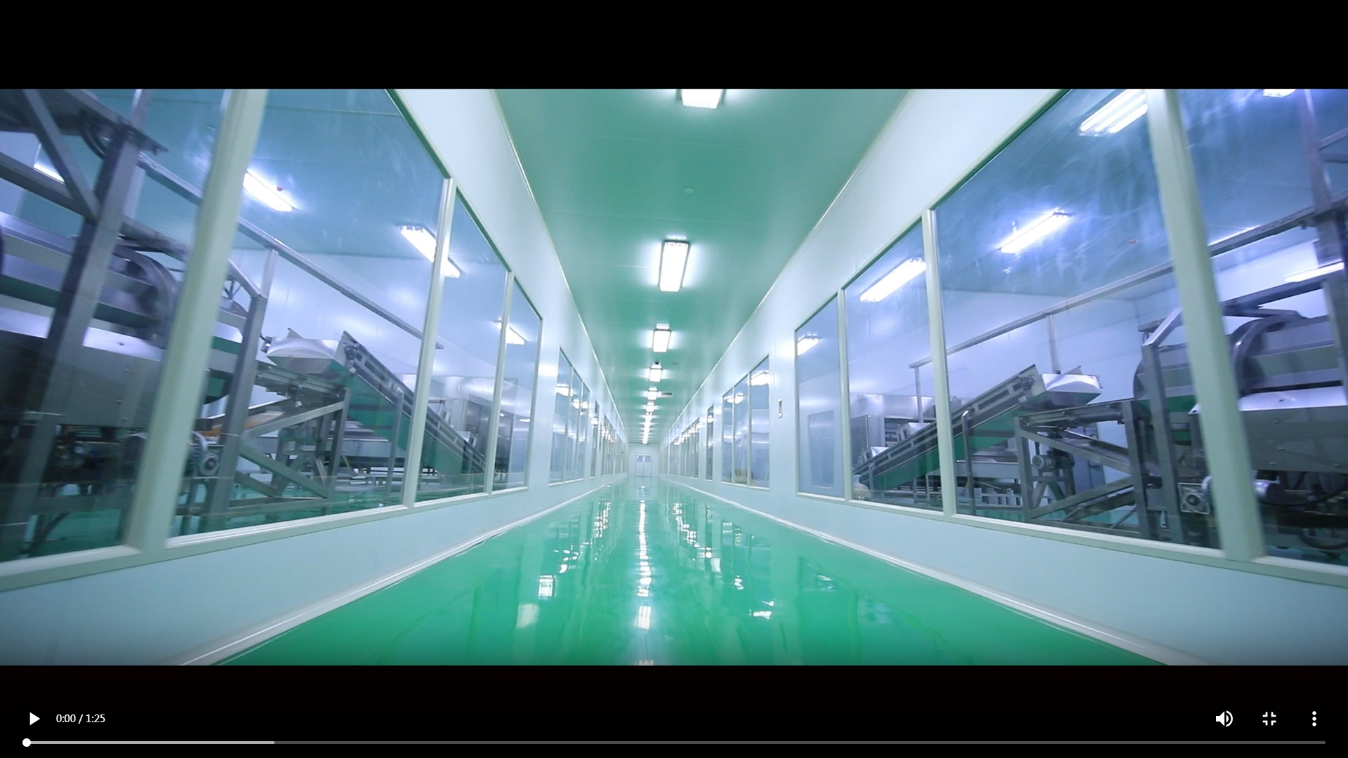 調(diào)味果仁烘烤生產(chǎn)線